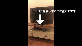 「Google Home Mini」と「クロームキャスト」と使って、声だけでテレビの電源ON・OFF [upl. by Sirehc256]