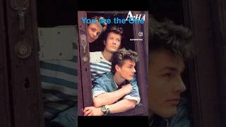 Which Aha song is better Part 12 shorts aha music takeonme 80smusic popmusic [upl. by Siroled]