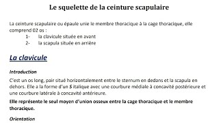 Première année médecine anatomie de la clavicule [upl. by Anitreb]