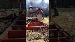 Dimensional sawing pine logs for woodworking projects [upl. by Selle]