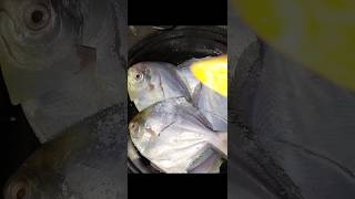 Pomfret curry  pomfret fish recipe in Bengali  sunday special pomfret recipe viralvideo [upl. by Ohare823]