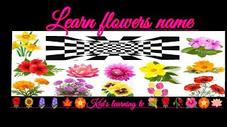 Flowers name in english and hindi l flowers name l phool ke naam l 10 phool ke naam l 10 flower name [upl. by Blalock]