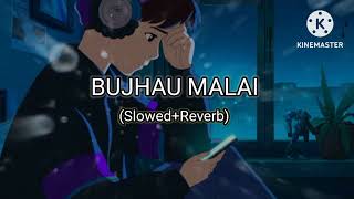 BUJHAU MALAI slowed  Reverb Sushant Ghimire Nepali lofi song [upl. by Ayota]