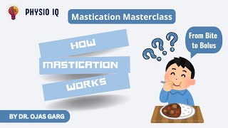 Mastication masterclass  How mastication works  from bite to bolus  mastication muscles [upl. by Vincents]