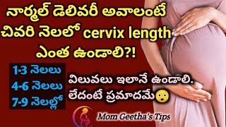 Cervical Length During Pregnancy  Normal Delivery  pregnancy care  Mom Geethas Tips [upl. by Nodla]