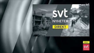 SVT Nyheter Direkt  vinjett 2022 [upl. by Ilario]