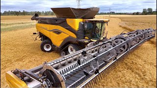 Wheat Harvesting in the UK  New Holland CR11 w 50ft  152m Flex Header  The New Mega Combine [upl. by Akemej541]