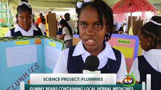 Science project quotFLUMMIESquot from Ave Maria Girls Primary St Lucia [upl. by Lauer432]