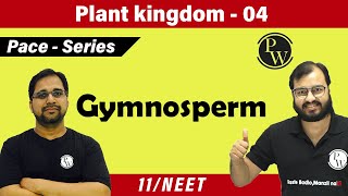 Plant Kingdom 04 Gymnosperm  Class 11  NEET  PACE SERIES [upl. by Merc]