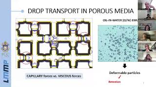 PhD Thesis Defense  Clarice de Amorim [upl. by Eitsym]