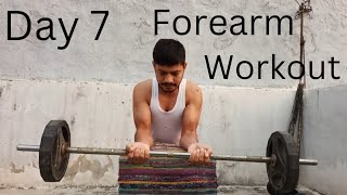 Day 7 Forearm Workout [upl. by Wivestad]