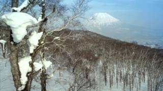 Niseko Village  Always in Season [upl. by Meagher]