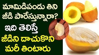 AMAZING Benefits of Mango Seed That You Never Know  Health Tips in Telugu  VTube Telugu [upl. by Westley]