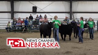 Knox County Beef Show [upl. by Nile644]