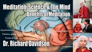 Meditation Science amp The Mind  Pt 1  Dr Richard Davidson  Benefits of Meditation on the Brain [upl. by Aliza]