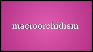 Macroorchidism Meaning [upl. by Ole]