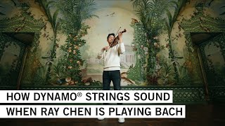 RAY CHEN performs Bachs Violin Partita no 3 in E major BMV 1006 III on DYNAMO® strings [upl. by Weitzman]