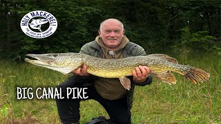 BIG CANAL PIKE  Pike Fishing [upl. by Rimma]