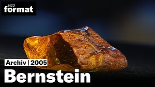 Bernstein Die Geheimnisse des brennenden Steins  Dokumentation von NZZ Format 2005 [upl. by Yelhs296]