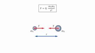 Legge di gravitazione universale [upl. by Milzie77]