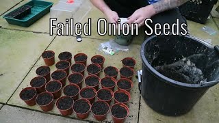 Are Seed Suppliers Ripping Us Off  Failed Onion Seeds Allotment Gardening UK 2024 [upl. by Dewie]