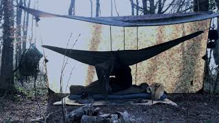 Bushcraft  Bivouac  Recyclage De Sapin  Poulet Coco [upl. by Eveneg]