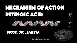 RETINOIC ACID MECHANISM OF ACTION [upl. by Heidie152]