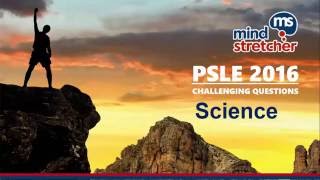 PSLE 2016 Science  Challenging Questions Unravelled [upl. by Nylidnam173]