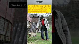 Best Motivational quotes in hindi 2024 💯 shorts viral  NI Motivation [upl. by Iey]