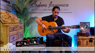 Francisco Barba 1968 flamenco guitar for sale played by José Andrés Cortés [upl. by Ratna]