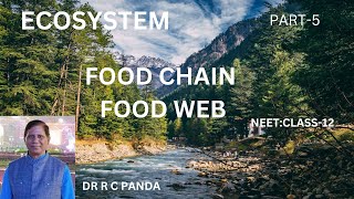 FOOD CHAIN AND FOOD WEB  ECOSYSTEM PART5  NEET  CLASS12  dr Ramesh C Panda [upl. by Misaq]