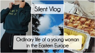 Silent vlog Realistic life of a young woman Grocery shopping day in the citycozy routine [upl. by Aicenert165]