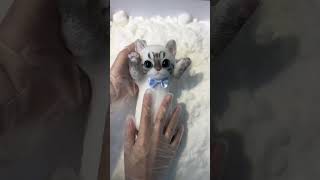 cats sticky toy cast in foam shortsvideo [upl. by Vento]