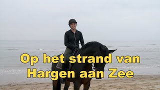 Met de paarden op het strand van Hargen aan Zee [upl. by Nahsor]