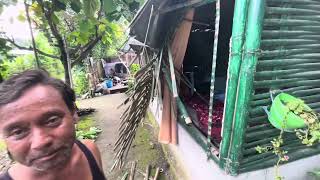 Elephants Destroyed Huts in Beldangi Bhutanese Refugee Camp Nepal  बेलडागी क्याममा हात्ती आतङ्ग [upl. by Anuska110]