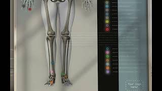 Skeletal System from wwweducaredesign [upl. by Alisia452]