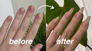 how to grow your natural nails fast [upl. by Sybila]