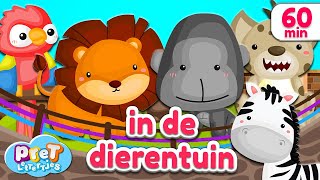 Pretlettertjes • Dierengeluiden in de Dierentuin • 60 min Special [upl. by Nema]