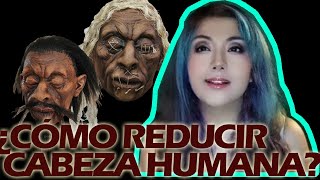 Miscelánea ¿CÓMO REDUCIR UNA CABEZA HUMANA  La realidad sobre las TZANTZA [upl. by Ayanad]