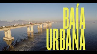 Baía Urbana Documentário premiado sobre a impressionante biodiversidade da Baía de Guanabara [upl. by Mellins]