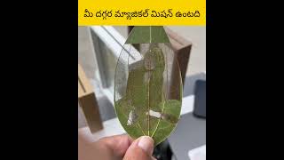 chena vadu kotha gadget ni thayary cheysasu facts telugu amazingfacts [upl. by Allayne]