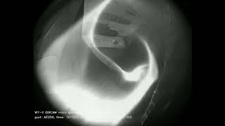 Wendelstein 7X plasma video part 2 [upl. by Nevsa]