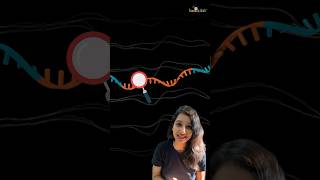 21st and 22nd Amino Acid  Molecular Biology csirnet neet neetbiology neetexam gate cuet gatb [upl. by Eresed358]