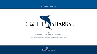 COFFEE SHARKS 50  SIM SIM NÃO NÃO O PODER FOCO [upl. by Ocirderf243]