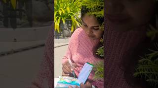 💚🌿Rockwood Retreat🌿💚  Resort  Watercolor  Painting  Nature study  Travel  Video  Short  Love [upl. by Lali]