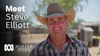 Steve Elliott – Awardwinning trainer has a special bond with animals  Muster Dogs  ABC Australia [upl. by Yeargain]