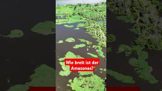 🌊 Wusstest du dass der Amazonas so breit sein kann dass man das andere Ufer nicht sieht 😲facts [upl. by Melisa]