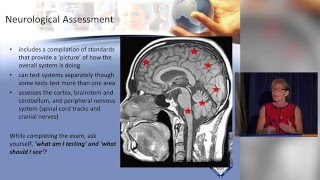 Neurological Assessment [upl. by Meelas823]