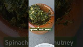 Spinach Garlic Chutney spinach garlicchutney spinachgarlicchutney ironrichfoods recipeshorts [upl. by Aleafar206]