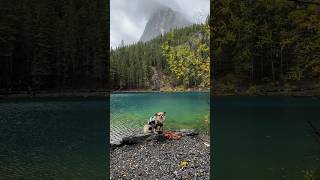 Come hike Grassi Lakes with us It was rainy but Mochi was such a trooper hike chihuahuamom [upl. by Marielle]